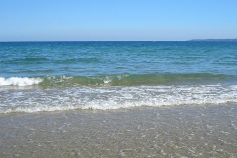 Турист отменил бронирование из-за разлива мазута — суд Брянска