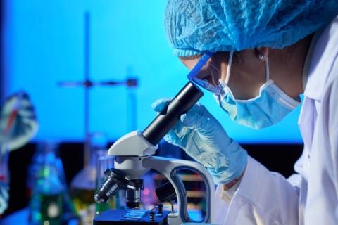Nature Microbiology: потепление океана может сократить продуктивность Prochlorococcus до 37%