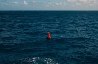 Высокие концентрации редкоземов обнаружены на дне Тихого океана — данные геологов