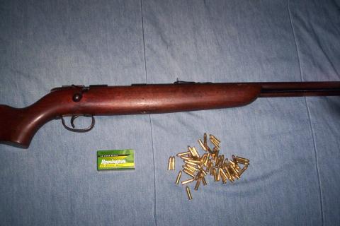 Жители Тюменской области отдали более 2000 единиц личного оружия — Правительство области