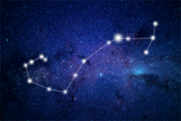 Древнему Скорпиону более 4  млн лет и другие астрологические факты о созвездии