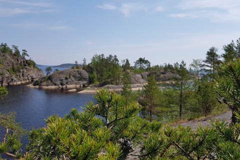 Карелия и Ленобласть объединяют водные пути: вот как проект изменит навигацию по региону