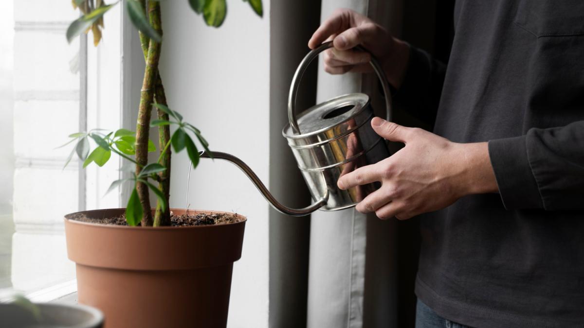 полив растений