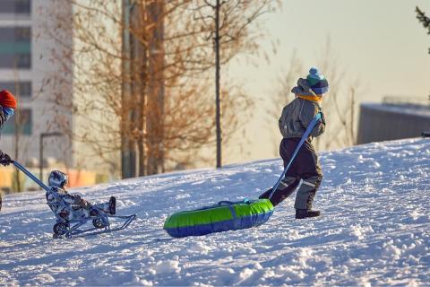 Жителей Карелии попросили отказаться от любимого веселья на новогодние праздники