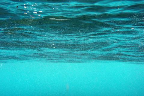 Локоны без укладки, сияние без кремов: магия солёной воды работает