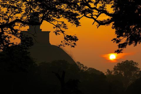 Без бюрократии и очередей: еще одна страна открыла двери без электронных разрешений