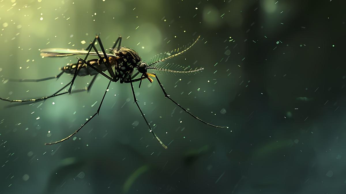 комар москит