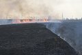 Влияние огня на влажность почвы Влияние огня на влажность почвы