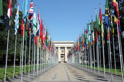 Меморандум истёк, интересы остались: как РФ и ООН ищут выход