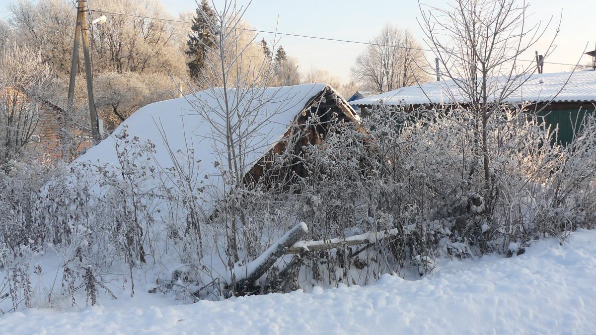 Панское. Погреб Панское. Погреб