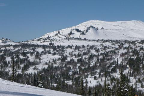 В Сибири начинают посев рассады с марта — Антонов сад