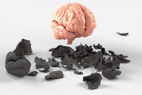 Почему современные дети быстрее взрослеют? Мнение нейробиолога