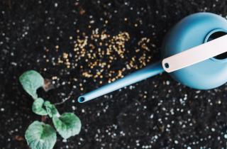 Удобрения-палочки обеспечивают растениям длительное питание — Огород