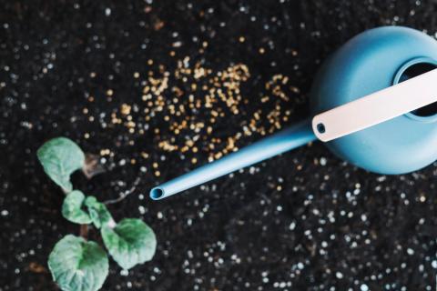 Удобрения-палочки обеспечивают растениям длительное питание — Огород