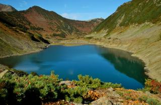 Учёные объясняют исчезновение озера в Карелии карстовыми провалами — МГУ