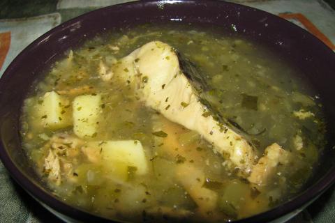 Кижуч даёт плотный вкус и хорошо держит форму в супе — исследователь