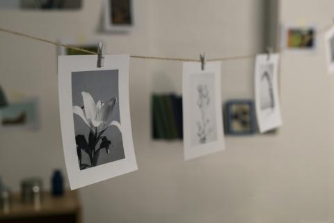 Мифы о Грета Тальботе: научные заблуждения о создании первых фотографий