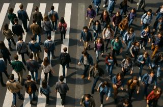 Биомасса диких животных сократилась на 70% с 1850 года — Nature Communications