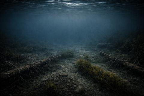 Учёные изучили экосистему уникального безрыбного озера — Вулканы Камчатки