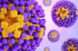 Среди простудных вирусов выявлен тайный убийца: мы недооценивали РСВ — а он опаснее гриппа и COVID-19