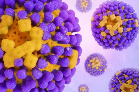 Среди простудных вирусов выявлен тайный убийца: мы недооценивали РСВ — а он опаснее гриппа и COVID-19