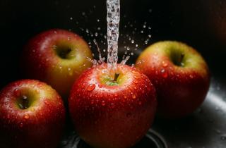 Комплексная защита почвы объединяет химию и агротехнику — Огород