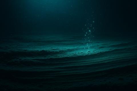 Секреты Марианской предгорной дуги: как жизнь существует там, где не может быть жизни