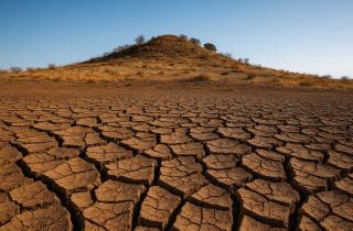 Сейсмические волны отражаются от уплотнённой почвы — The Guardian