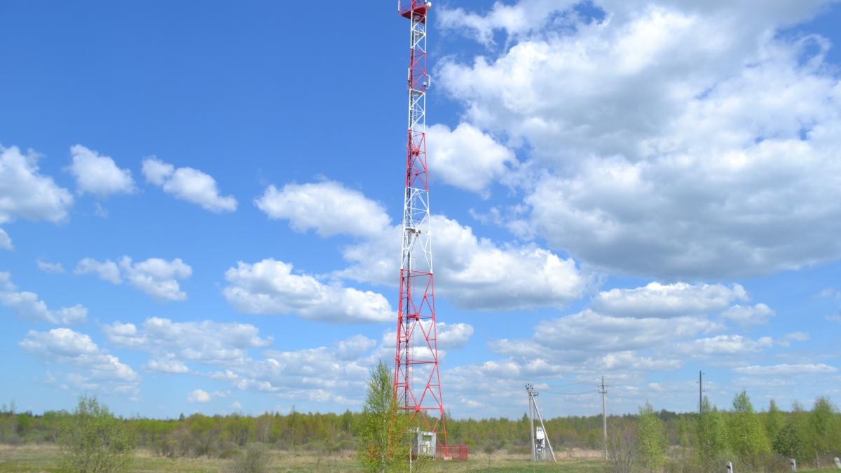 2015 02 Сотовая вышка близ деревни Филинской (Шатурский район)