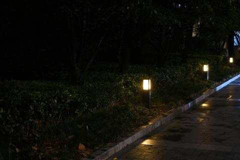 Подъезд к станции Хуухканмяки осветил 41 фонарь — Правительство Карелии