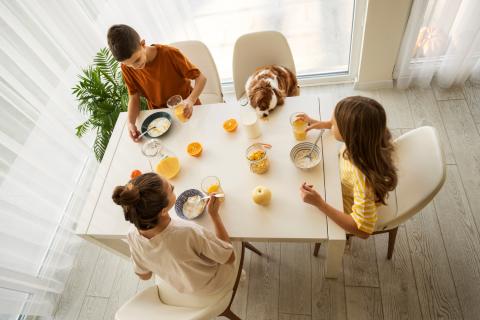 Семейные ужины снижают стресс и риск ожирения детей — Рамблер