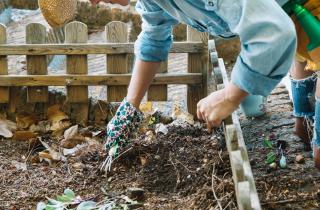 Обрезку осенней малины снижает заболеваемость — агрономы