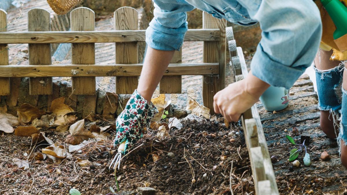 Осенний сад