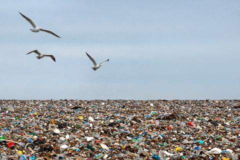 ООО САХ перешло в собственность региона вместе со свалкой — Эхо Севера