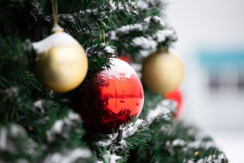 Морозно, но без сюрпризов: какая погода ждет Югру в новогоднюю ночь