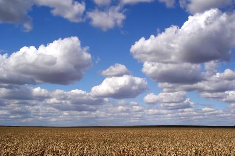 Психологи: наблюдение за облаками весной снижает уровень стресса