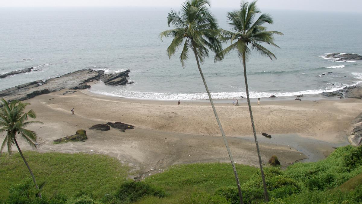 Vagator, Goa, India, Palm trees Vagator, Goa, India, Palm trees