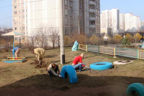 Психологи: совместный труд снижает стресс и укрепляет чувство доверия