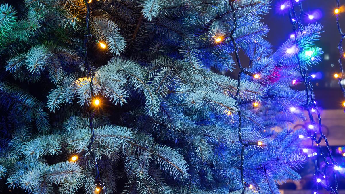 Новогодняя ёлка