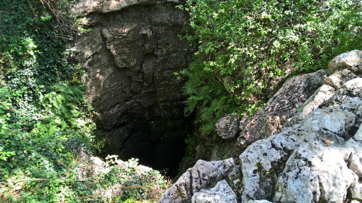 Пещера Максимовича шахта