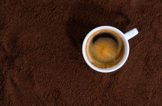 Кофе с тараканами в Пекине стоит 45 юаней — South China Morning Post