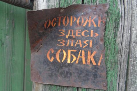 Собака бросилась на мальчика во время игры — всё закончилось больницей