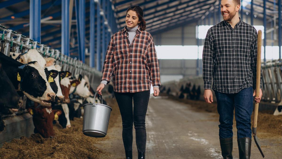 Девушка с мужчиной на ферме