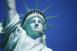 Путешественница описала спор из-за дерева в США — туристы