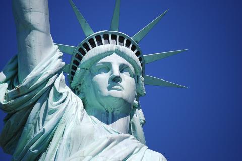 Путешественница описала спор из-за дерева в США — туристы