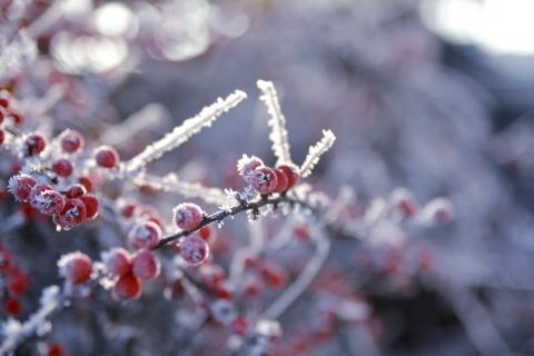 В Якутии ожидаются опасные морозы до -54 градусов — Комсомольская правда