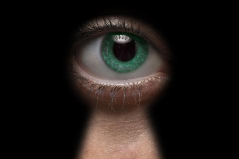 Витамины для глаз те же, что и для всего организма — офтальмолог Левина