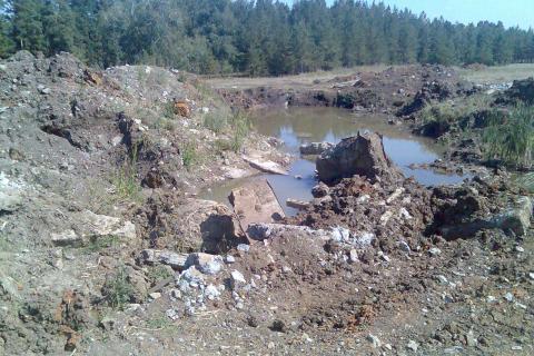 Власти Архангельска готовят новый полигон ТКО на трассе М8 — ИА Эхо Севера