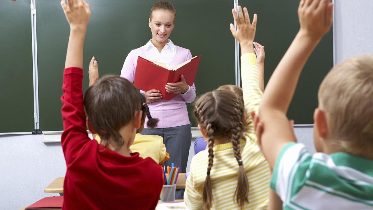 школа школа