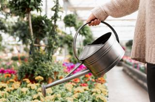 Бережный полив можно обеспечить ложкой — садоводы